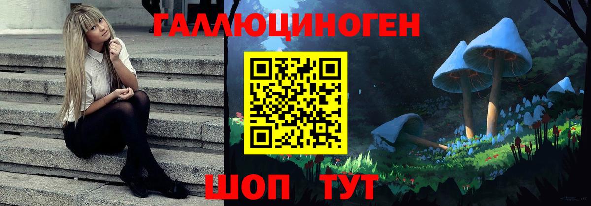 Апрелевка  Псилоцибиновые грибы Psilocybine cubensis  Вход с VPN  Галлюциногенные грибы Psilocybine cubensis 